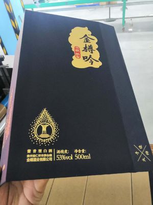 Caso automatico di W3182XH2117mm che fa la copertura del telefono della copertina dura della macchina che fa macchina
