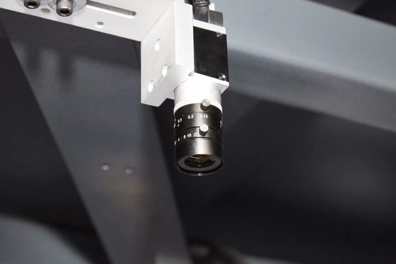 Lunghezze macchina d'imballaggio dell'incartonamento di 600mm - di 100 con controllo dello SpA di Panasonic